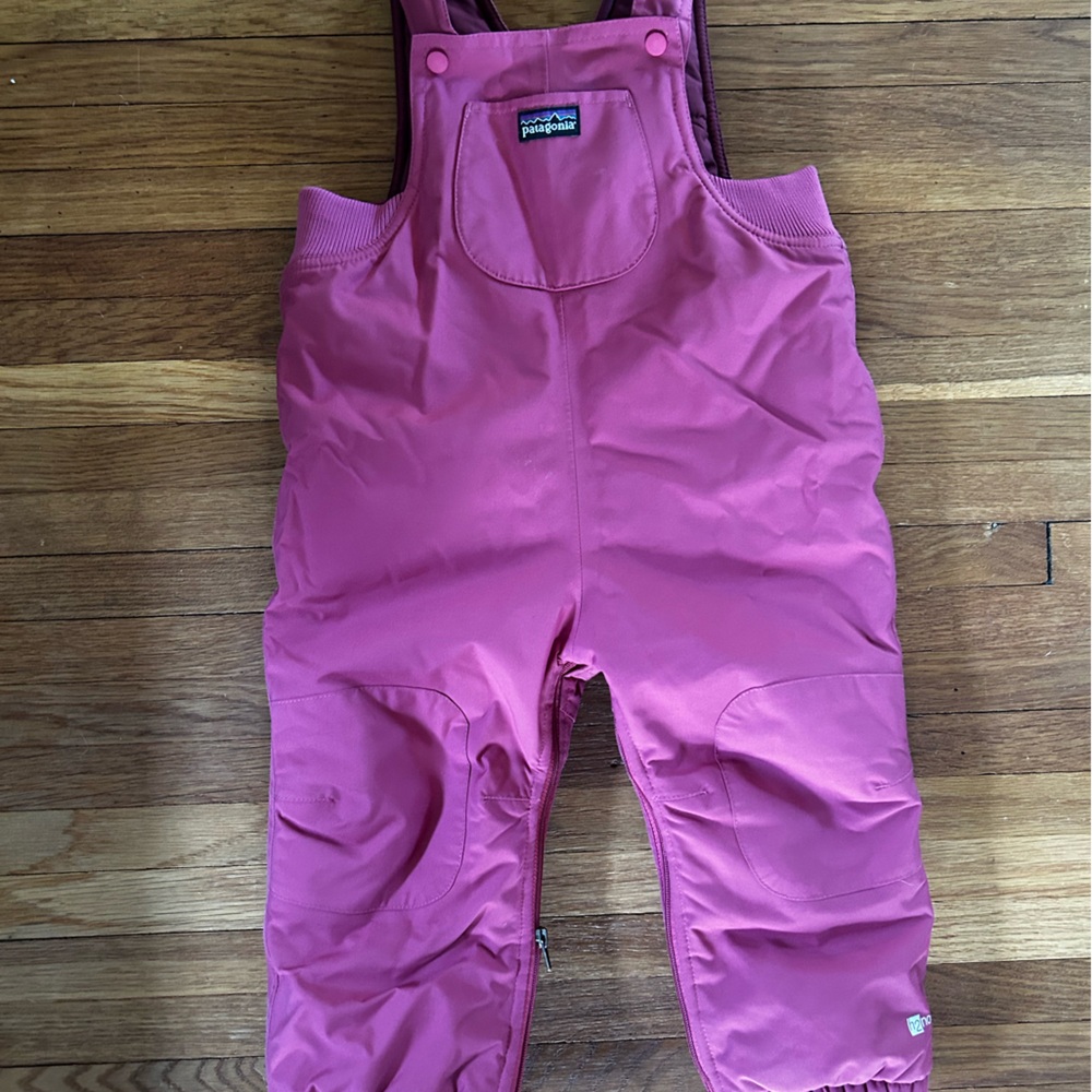 Patagonia Pink Kids Snow Bib Overalls